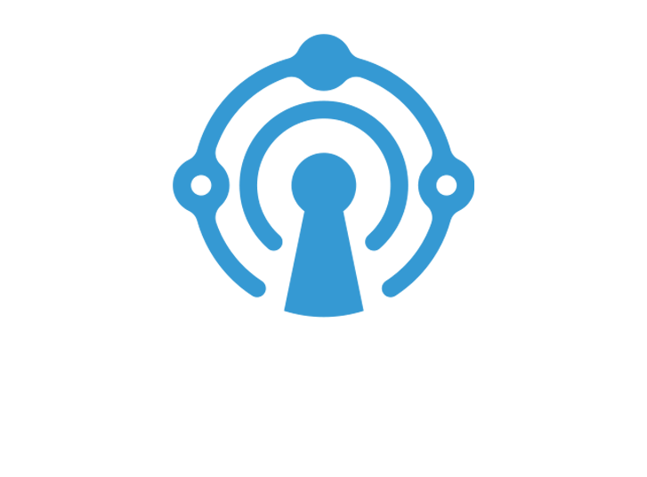 Paranoid Cybersecurity logo dark